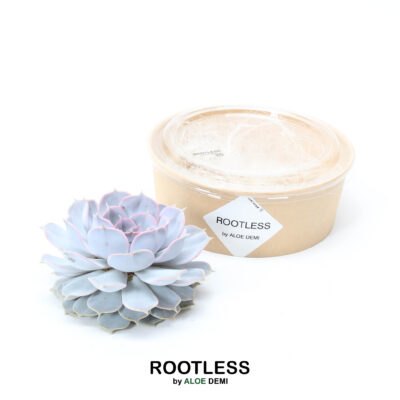 ROOTLESS vetplant los