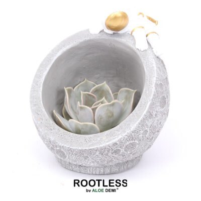 Astronaut op de maan met ROOTLESS